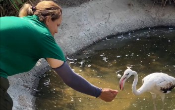 1756997386_17569970326060826643_1200x630