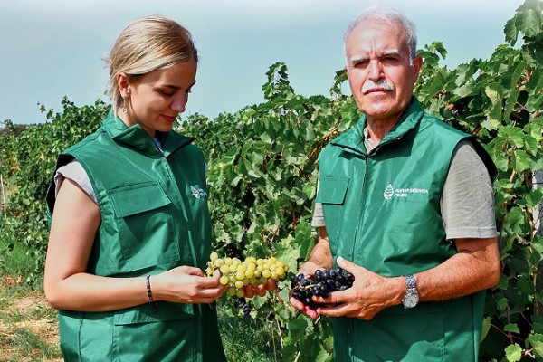 1758098495_1725542239_post-1