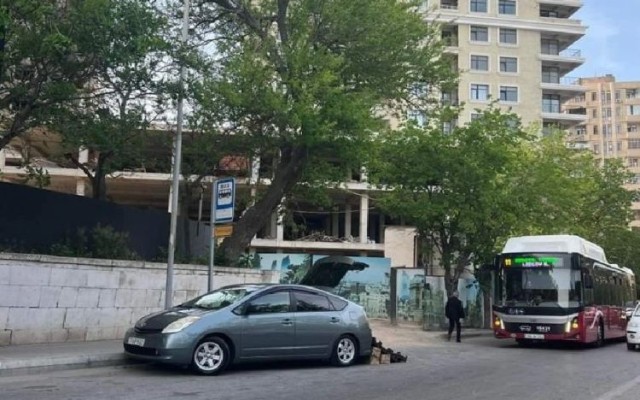 1759143503_photo_248311