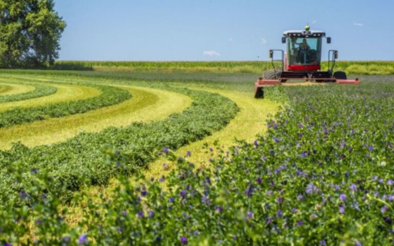 1759234142.17436932936036957063_1200x630