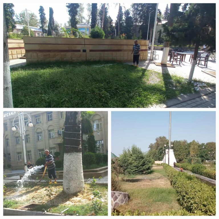 541259128_1445419346662164_4123955932586795281_n