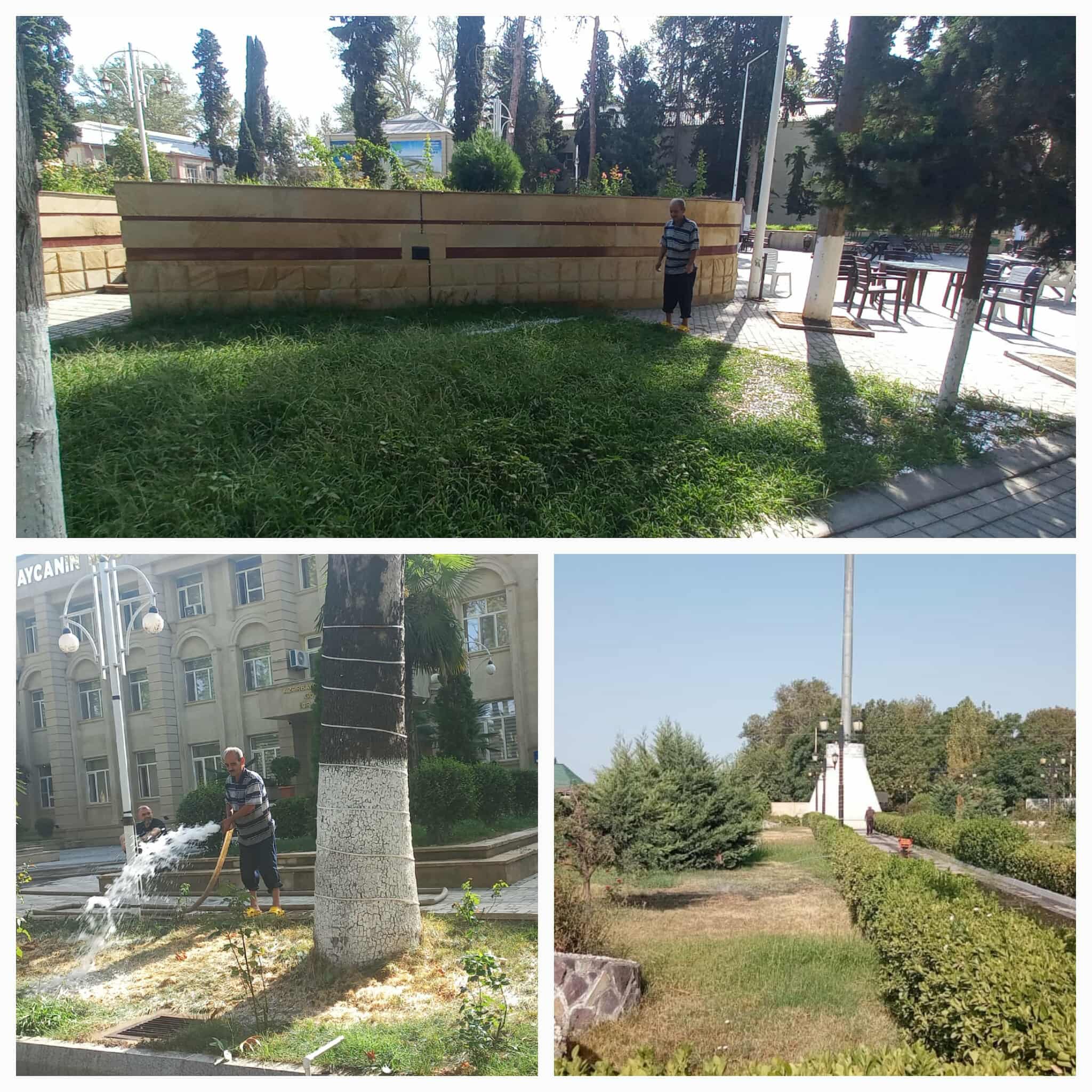 541259128_1445419346662164_4123955932586795281_n