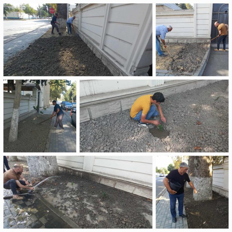 541964440_1142101567811047_824563041102201658_n