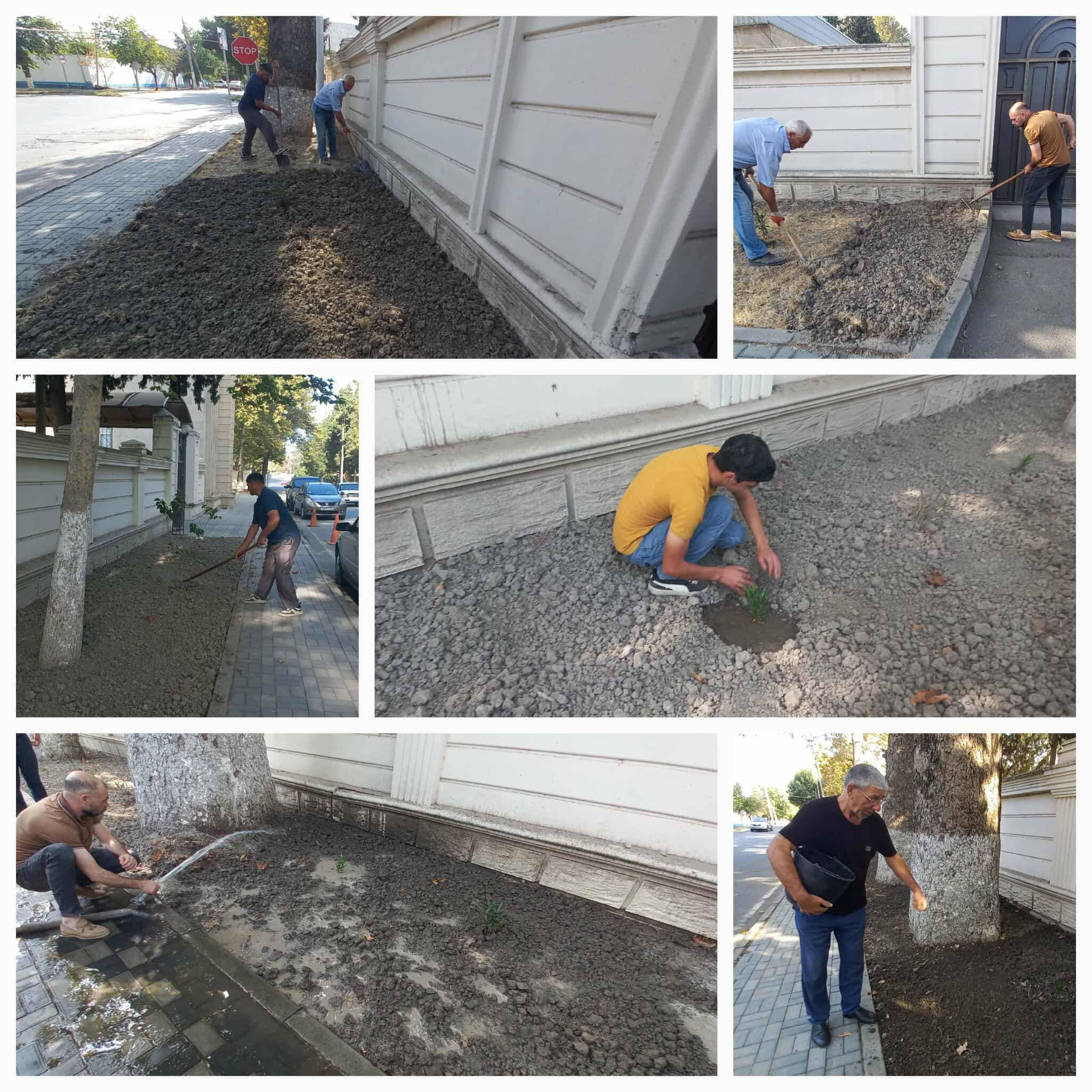 541964440_1142101567811047_824563041102201658_n