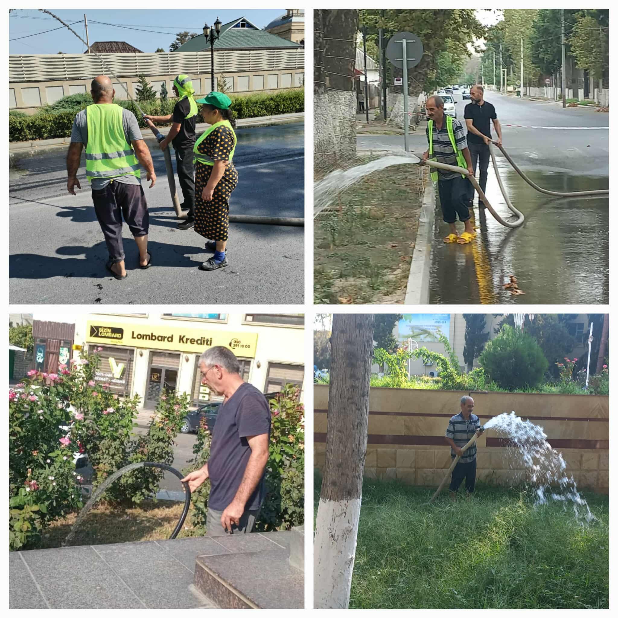 542368384_1293141712314022_290335915584106716_n