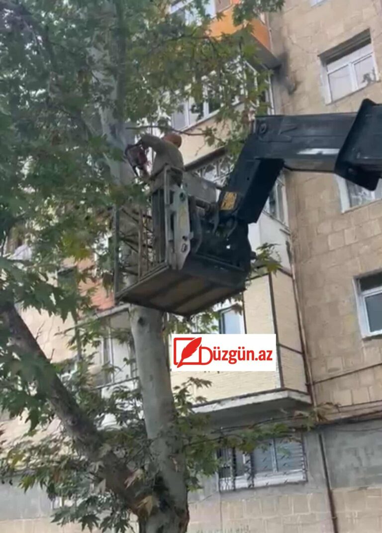 546559725_773016365360071_8744421970298993651_n