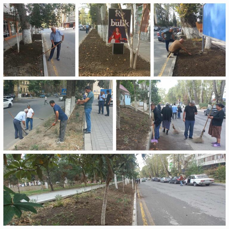 546882105_1292868079236843_5315418452956797755_n