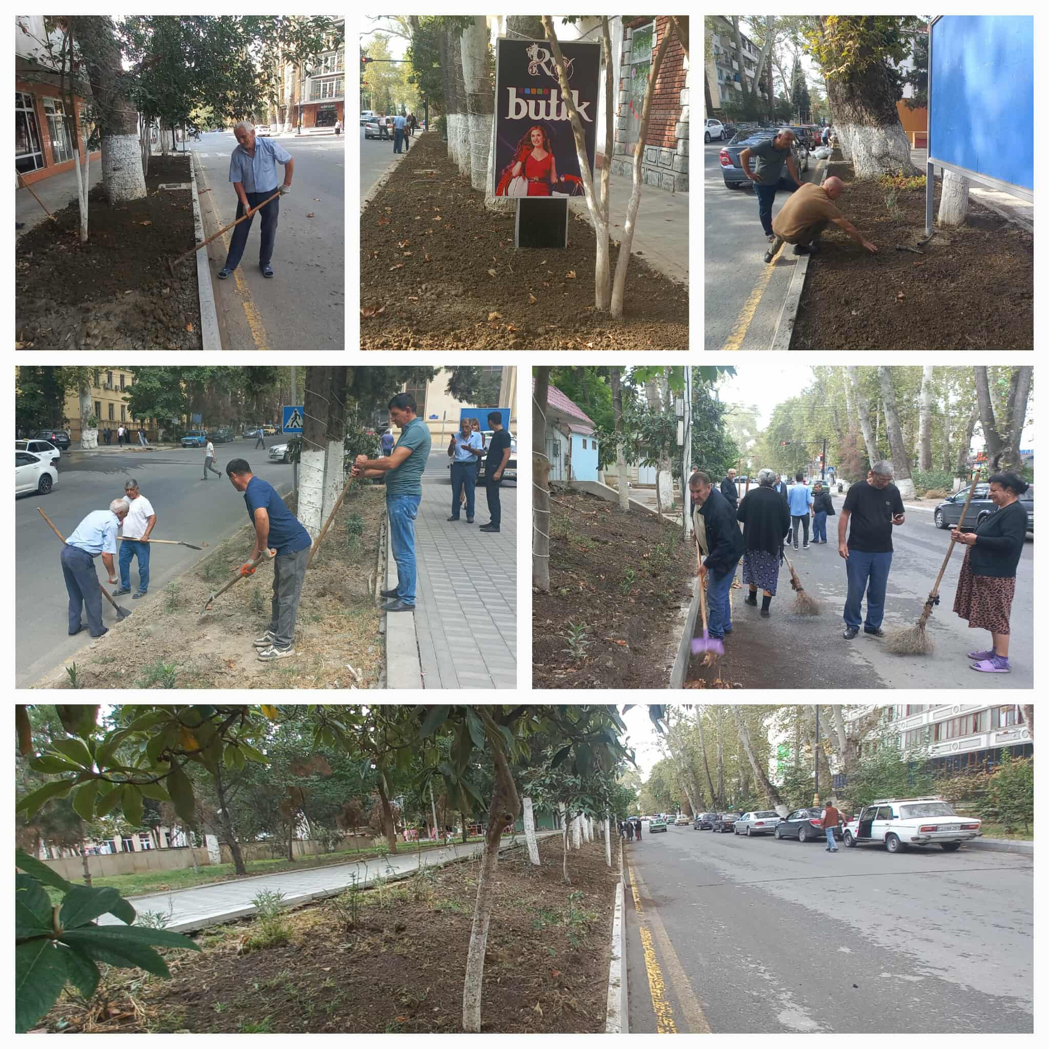 546882105_1292868079236843_5315418452956797755_n