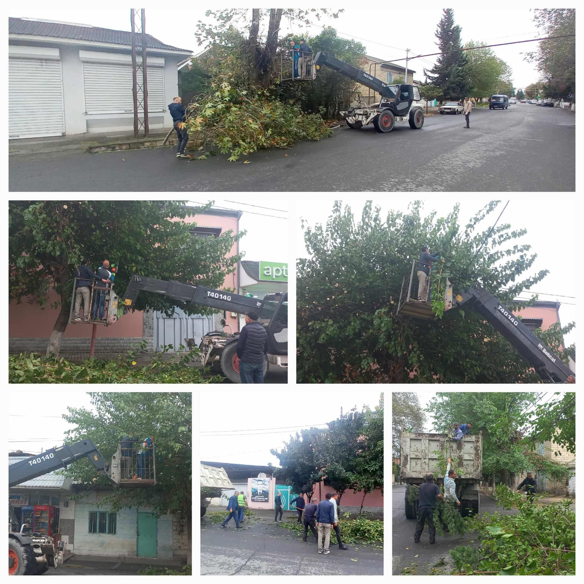 548729626_1135004294864327_8330385966837148435_n