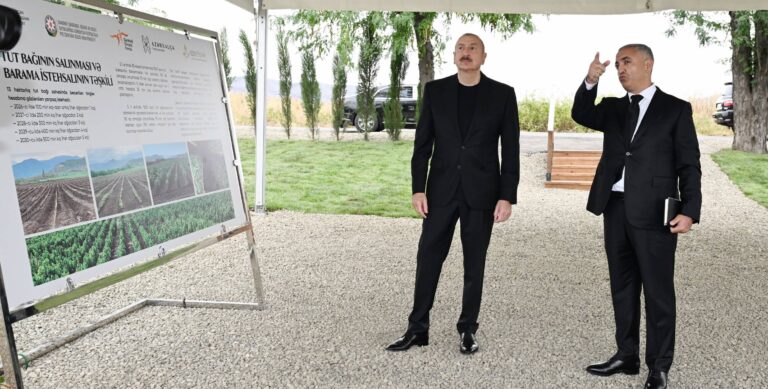 65322443c4906fe5ff087c93eaabd7a6_3945568