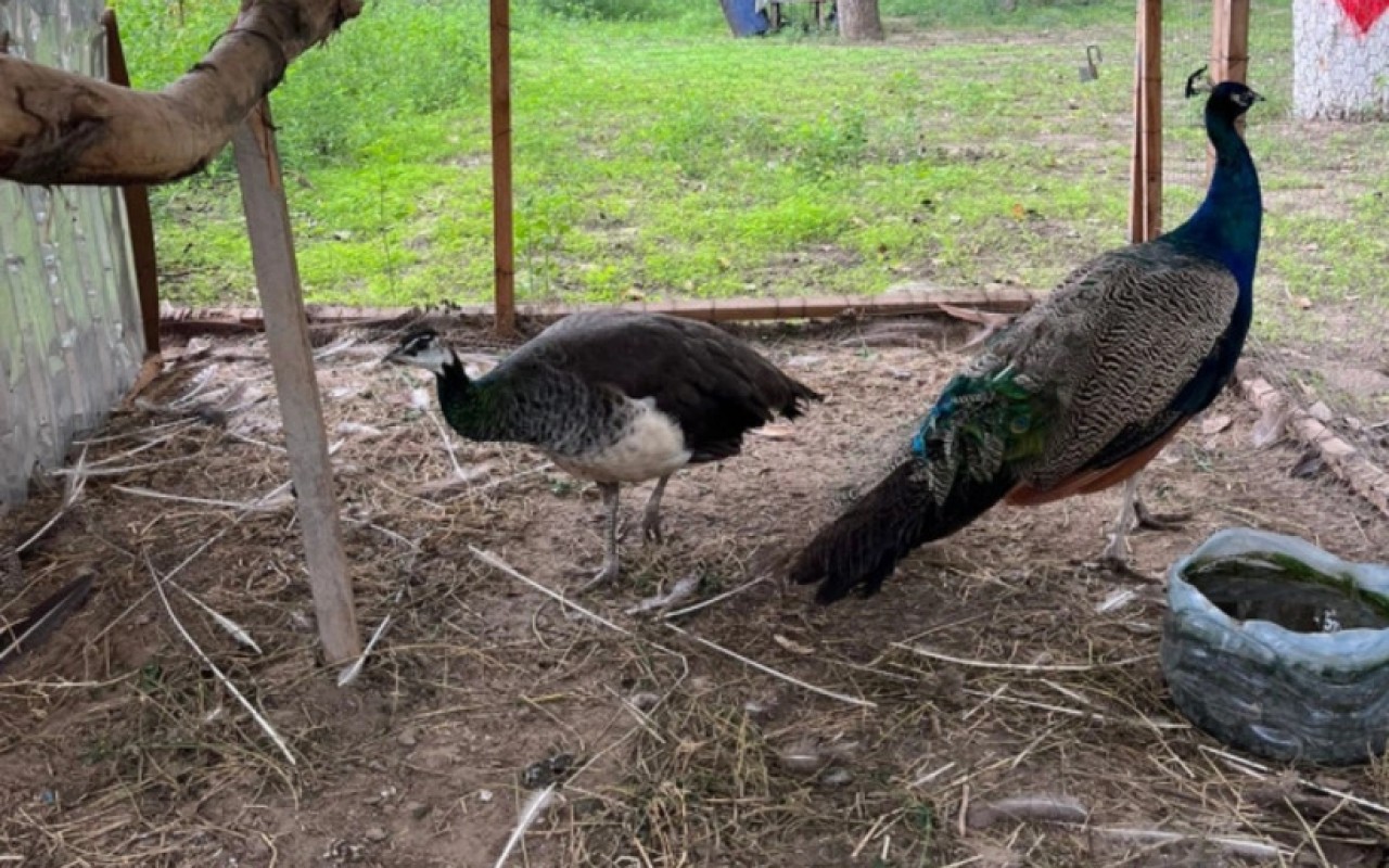 1759734136.Y3e9lVggfUaAVG1txWNvi9IJqzN4iffo28ghQ5tx_825