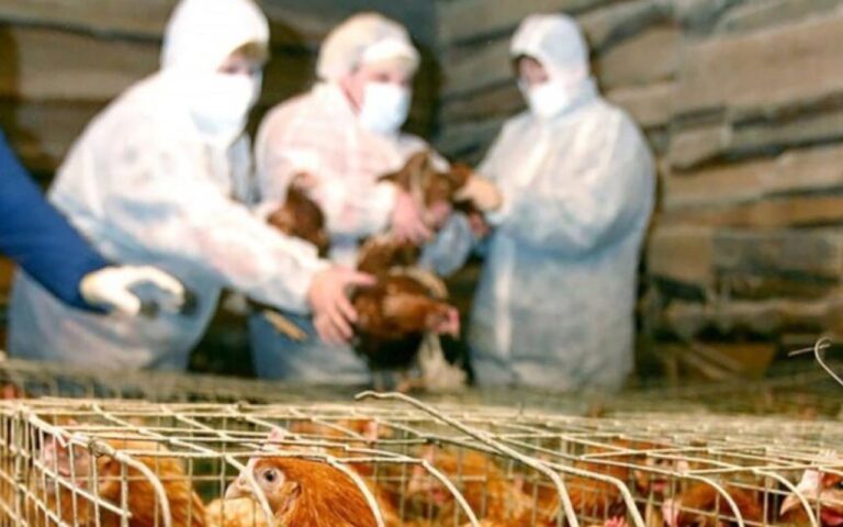 1759747828.whatsapp-image-2025-10-06-at-141