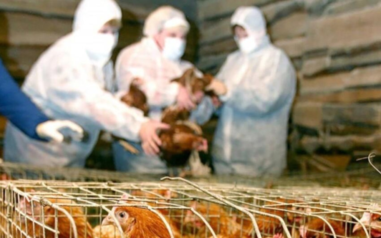 1759747828.whatsapp-image-2025-10-06-at-141