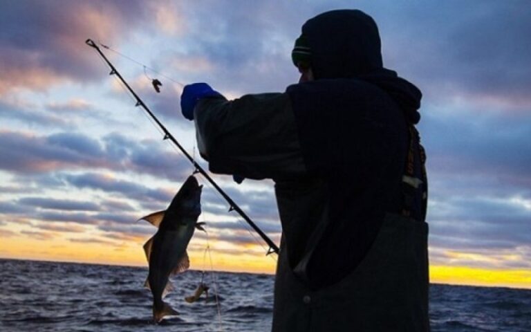 1760780450_176077953822jpg-1674024582jpg-1760785554