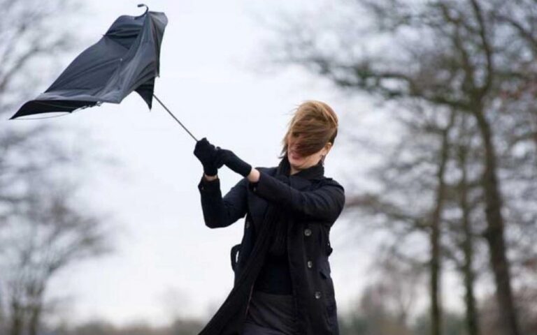 1760966388.bf805bdc-e8bd-414e-a8c9-cbfe0b315c92_825