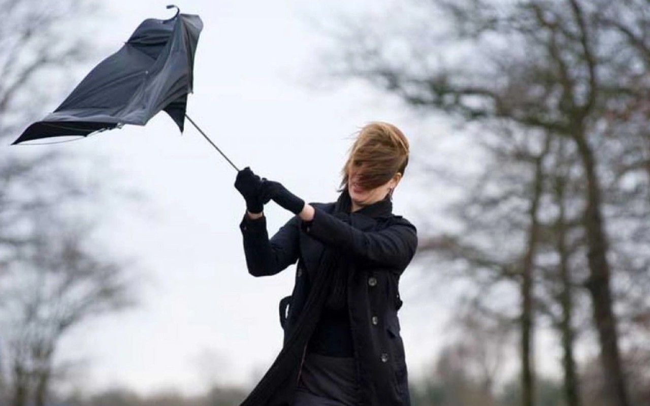 1760966388.bf805bdc-e8bd-414e-a8c9-cbfe0b315c92_825