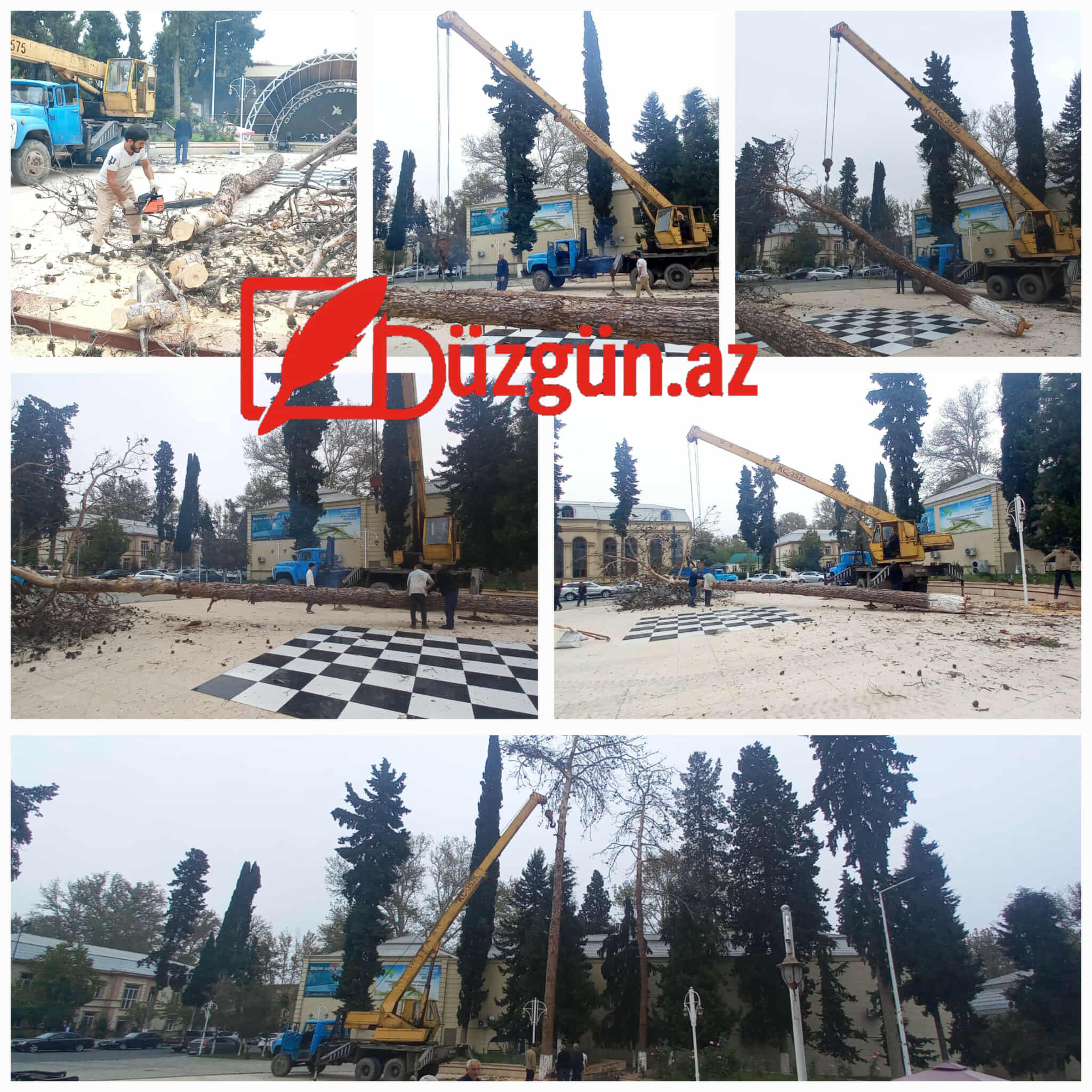 553371160_1165499152353870_7210174392245431387_n