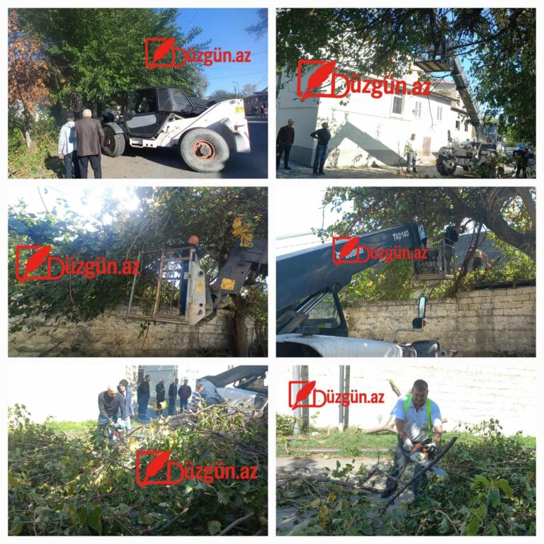 554049979_2203874586762182_4582904509032615612_n