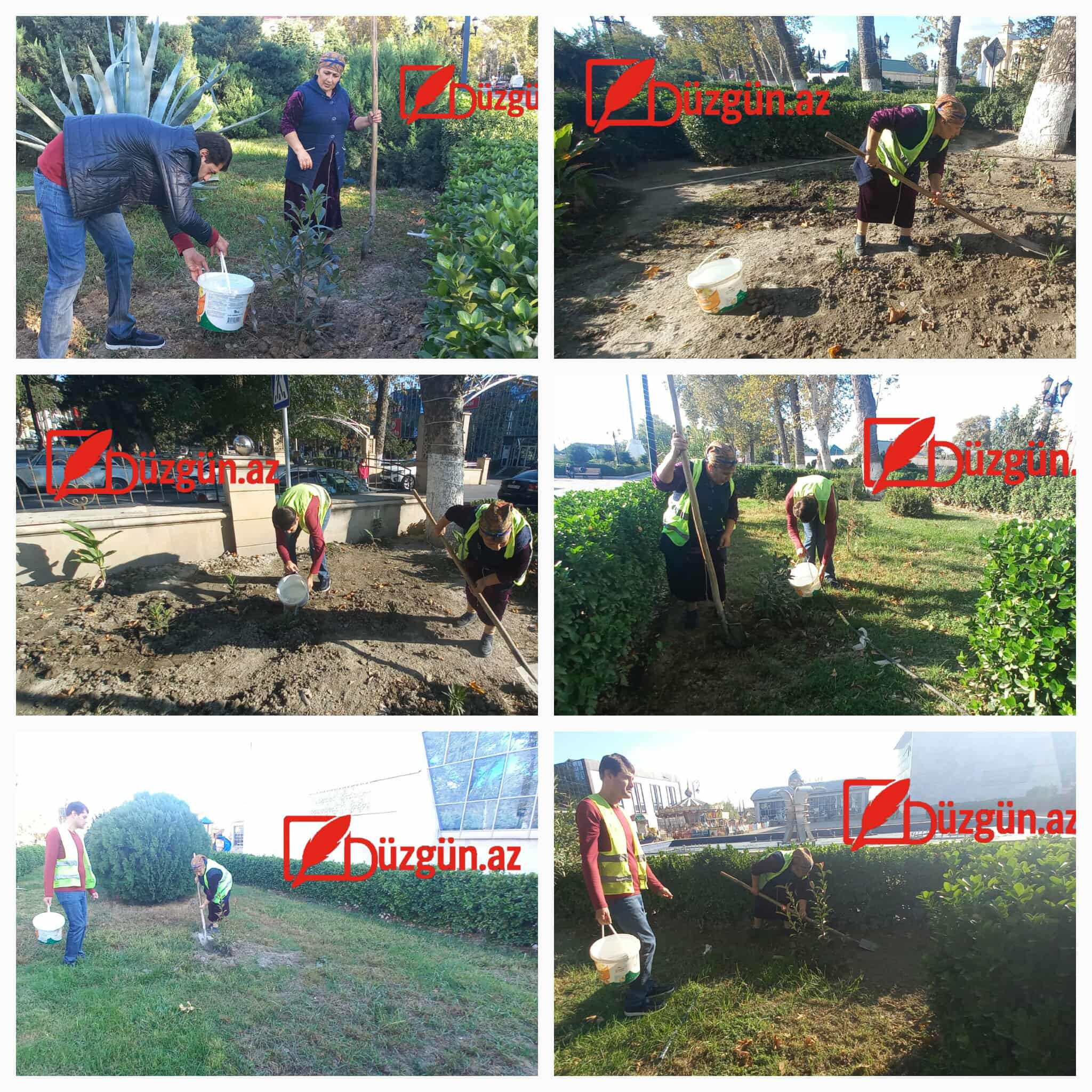 564224153_797032096292642_6942030414238510732_n