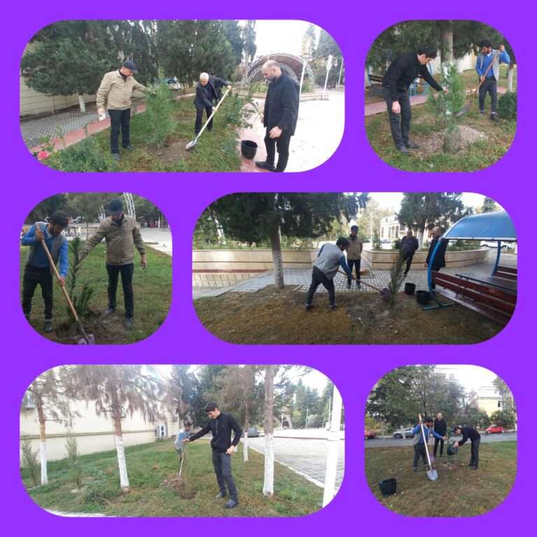 566637609_1210847187757120_201400423515747443_n