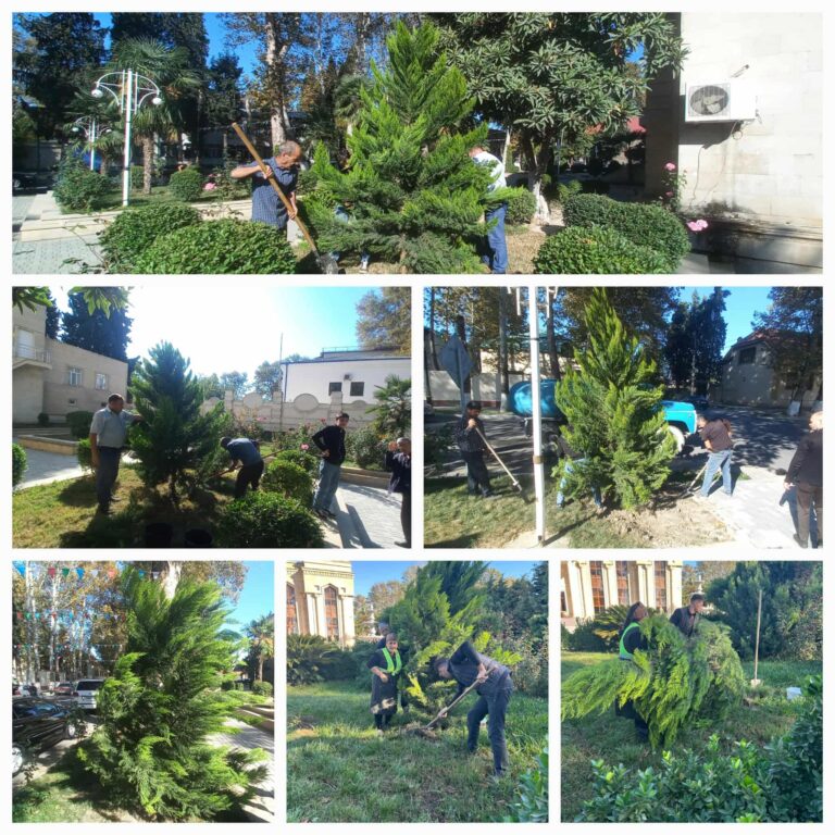 567130757_1347318186895435_2501416464480231263_n