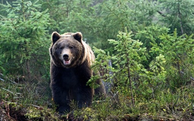 5F581EB0-C93B-40C9-A6B4-D88F0B3B02FBjpeg-1760869243