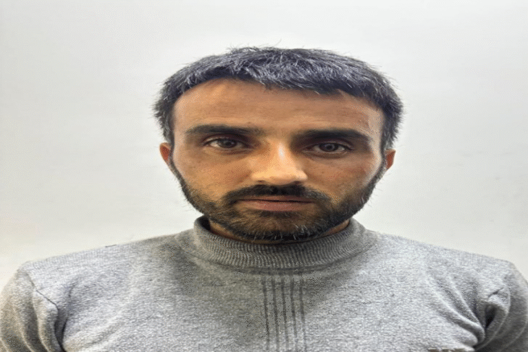 IMG_4647png-1761384407