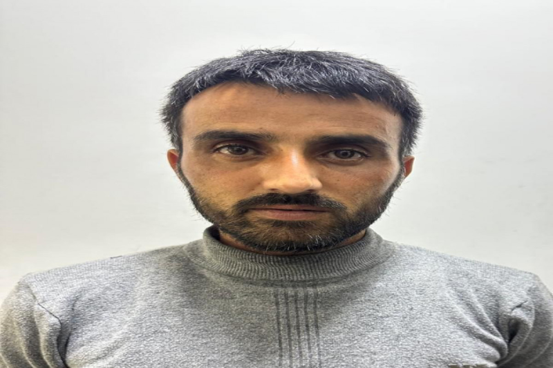 IMG_4647png-1761384407