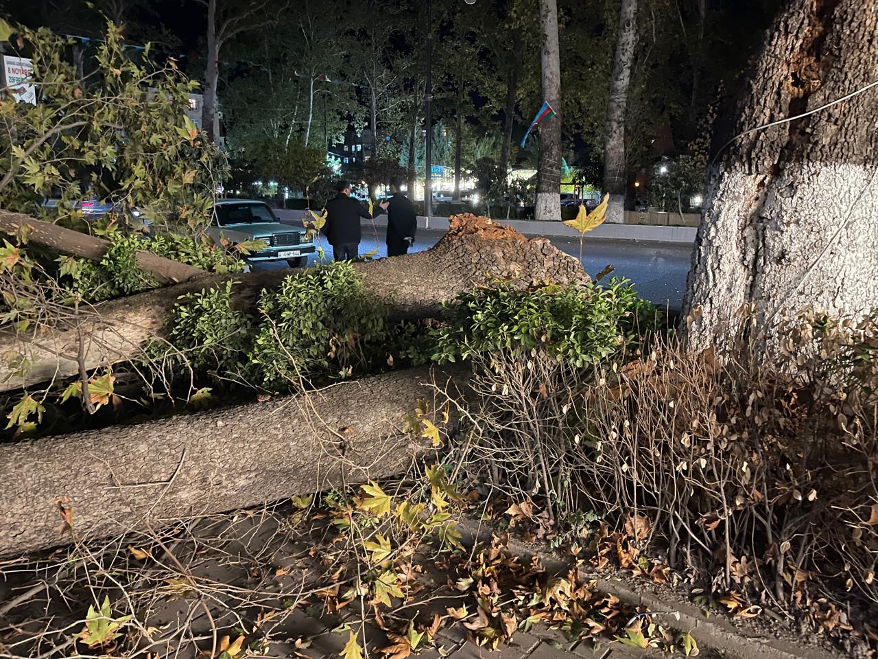 b7cea6ab-c717-490a-98d4-63bfb3b8a033