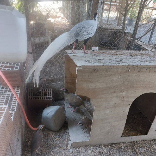 whatsapp-image-2025-10-03-at-153544-2