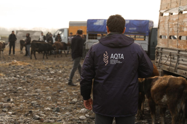 whatsapp-image-2025-10-24-at-092056-1-1