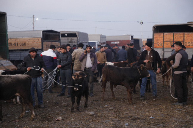 whatsapp-image-2025-10-24-at-163503