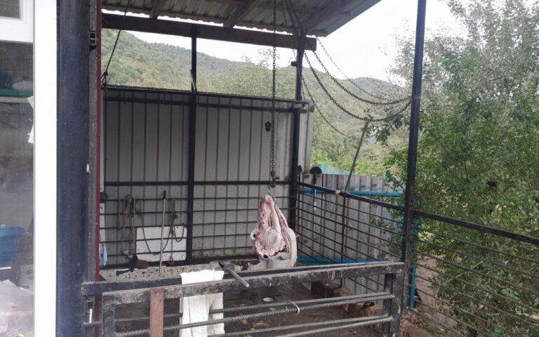 1762242877.dedd8b05-c666-4b6c-988f-030cdb42b3b8