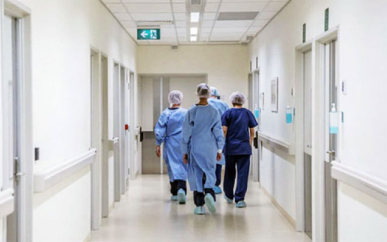 1763297735.xestexana