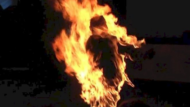 1763355831_1627982644_resize-2021-08-03t132135_319