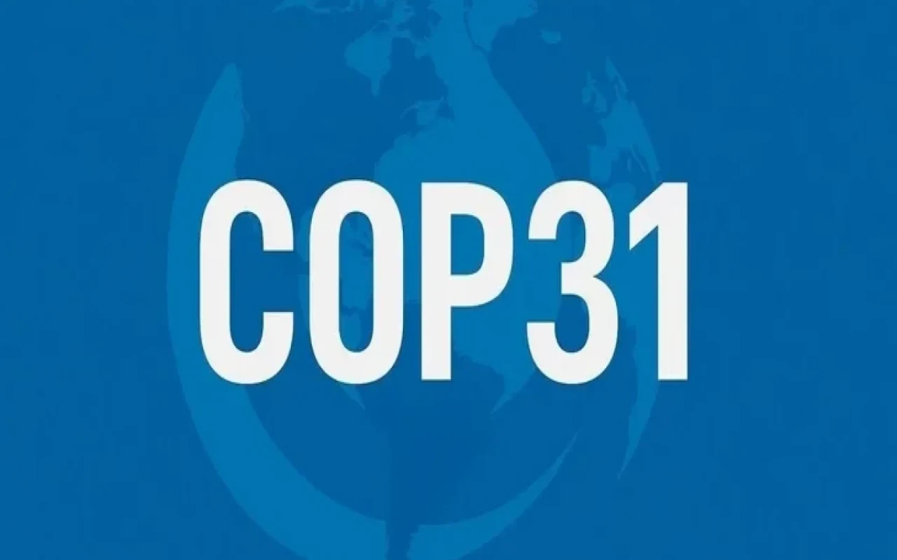 1763621039.691eb800bb0ce691eb800bb0cf1763620864691eb800bb0cc691eb800bb0cd