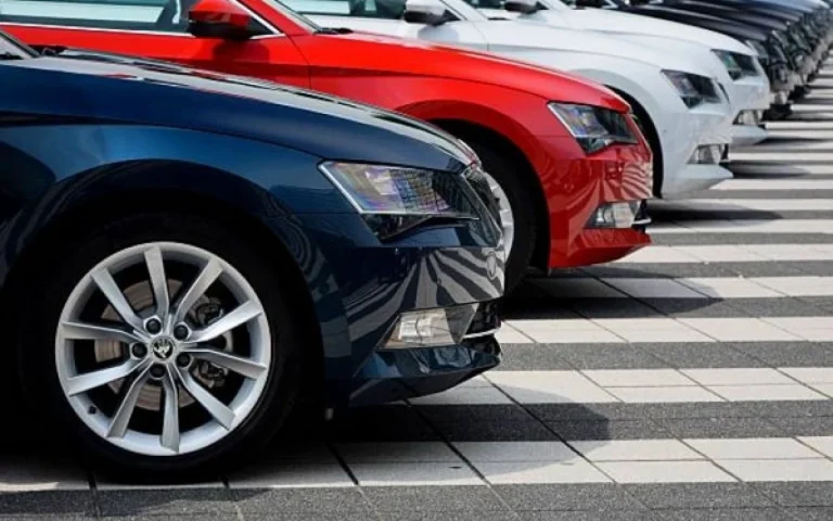 1763715014.JLWjUhF7avArZXVPtgJS2MNRZhdQ9KlT8oATxQtG