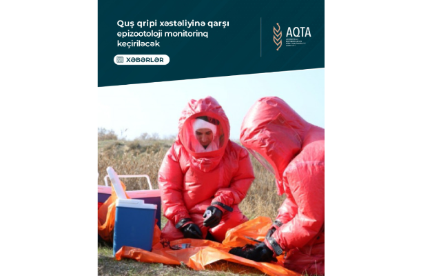 1764250630_Screenshot 2025-11-27 173609