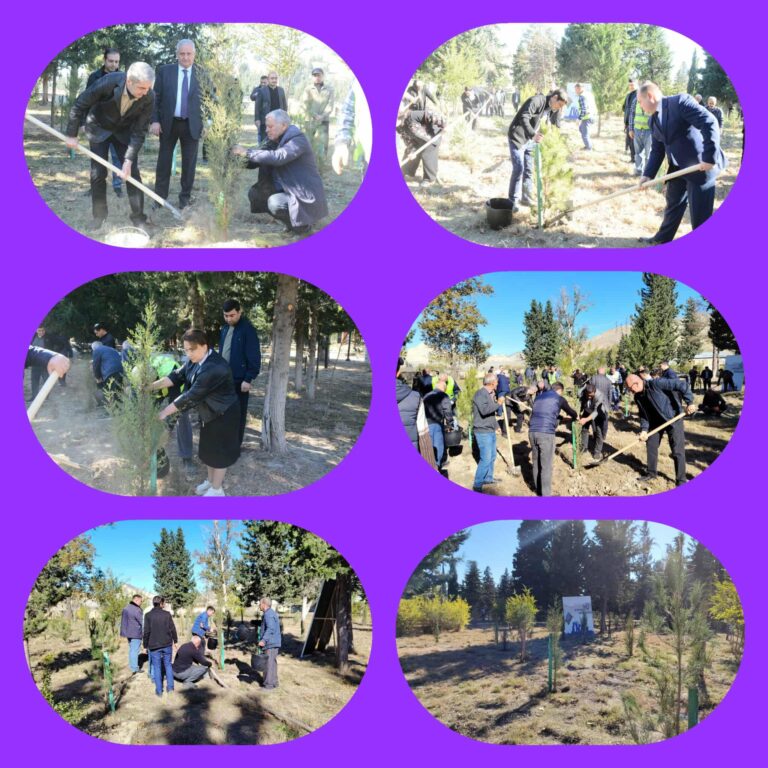 574763133_798620716371351_1870636328174676085_n