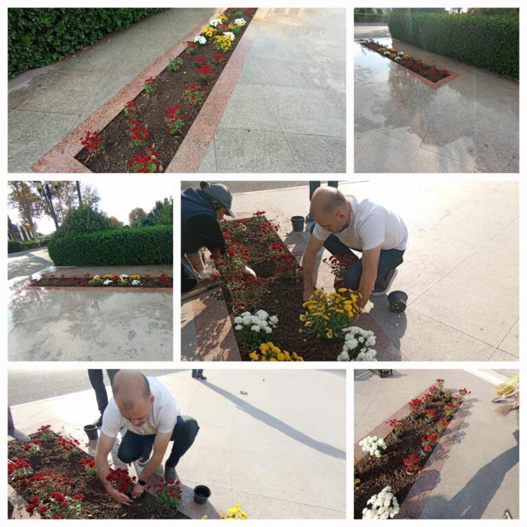 574940095_1485540602679694_7534019703306432243_n