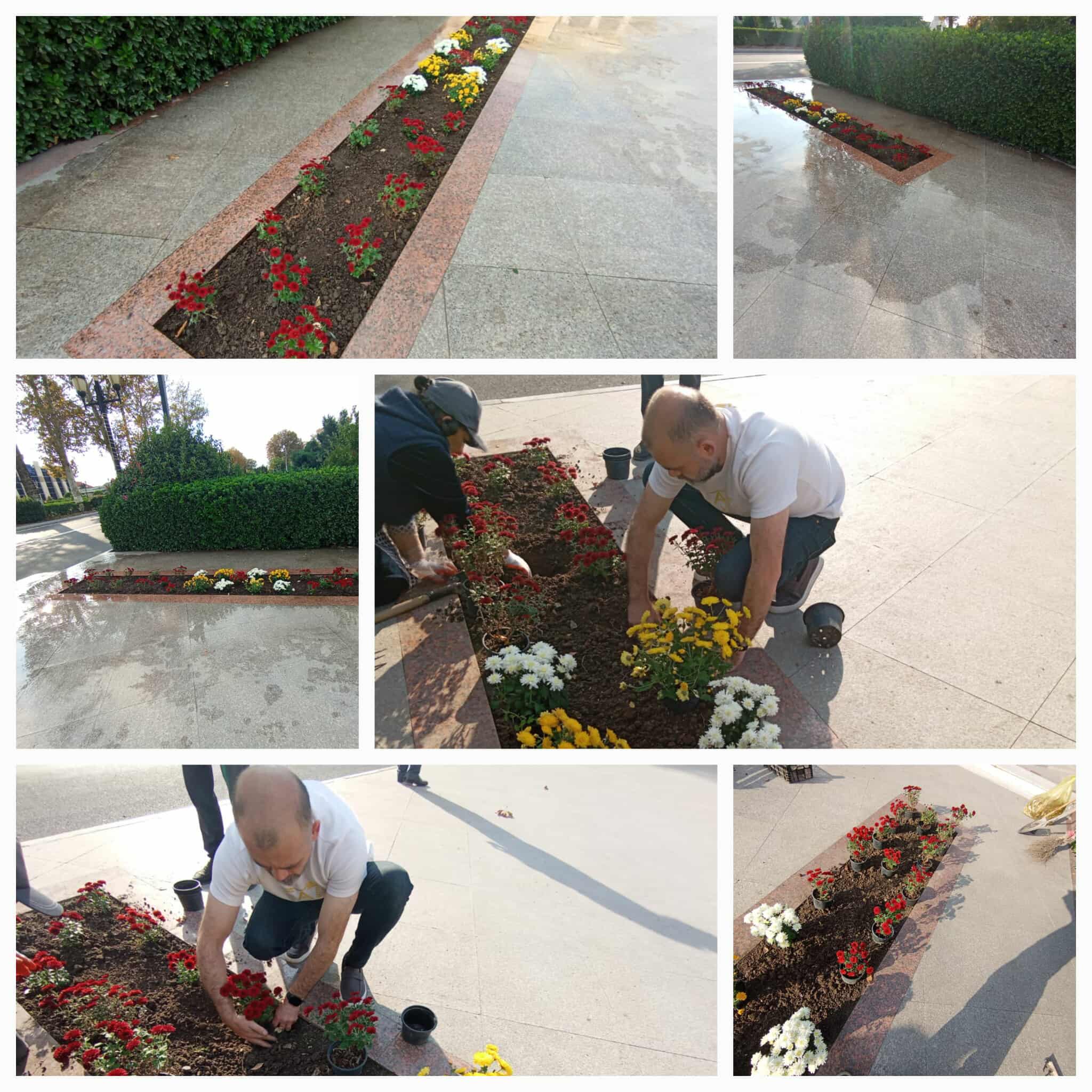 574940095_1485540602679694_7534019703306432243_n