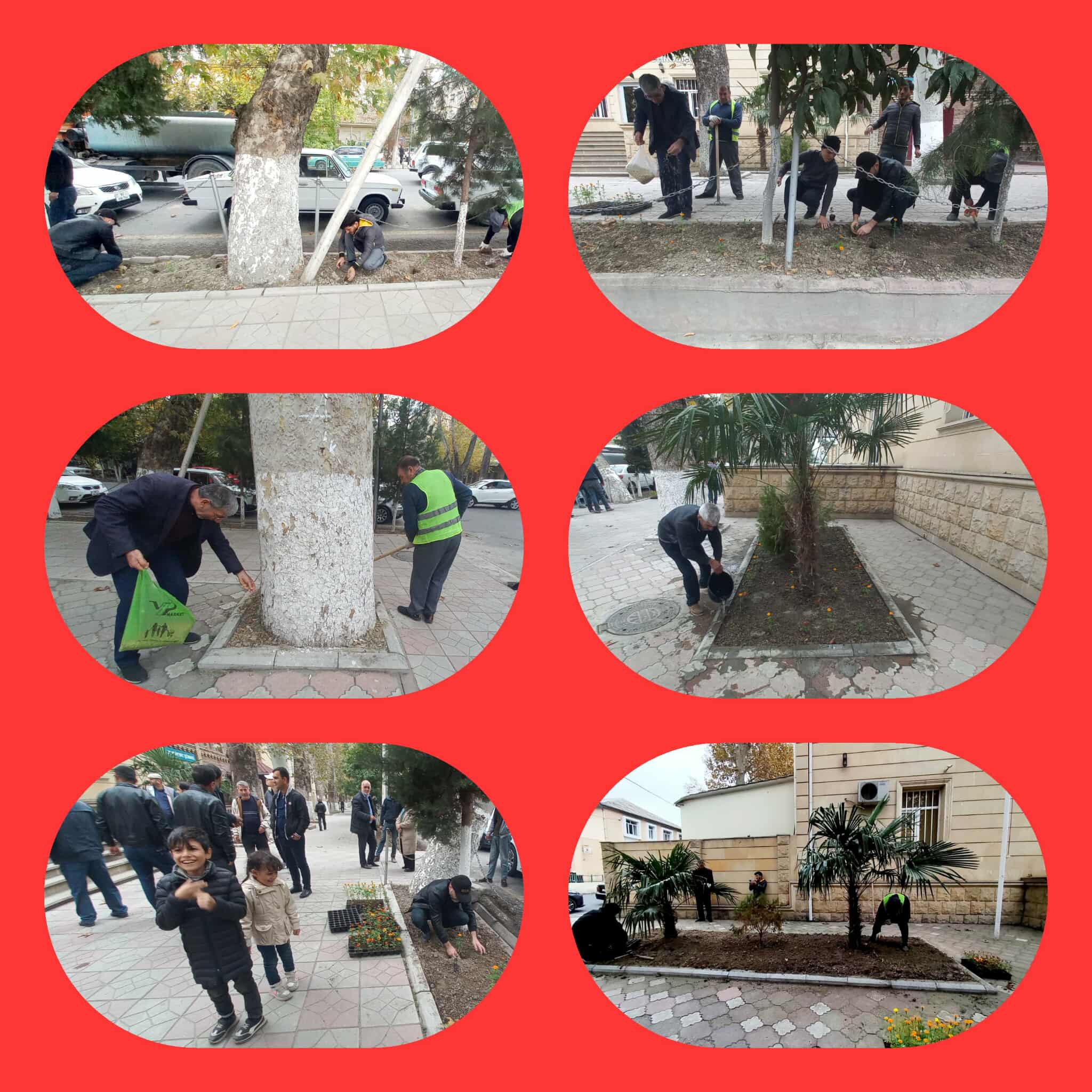 582078026_1046705774215840_4959863833236759229_n