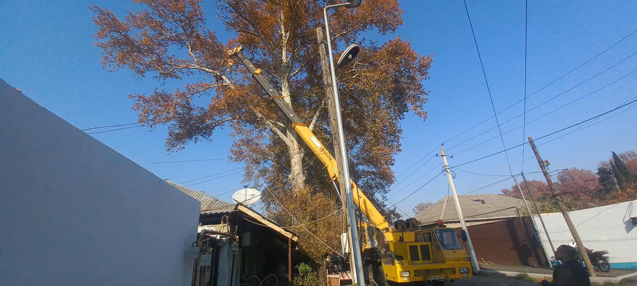 584559495_1157961036483388_7444489521483809366_n