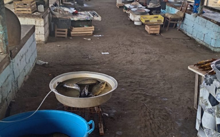 1764765782.85c82a0a-78d5-4d00-80fe-30b0137b47ed