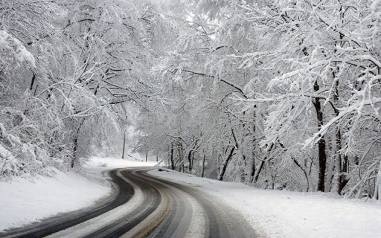 1765186395.1744783793.1711001844_qar