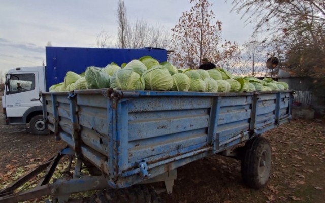 1765261841_5rXlRm77yTB5ZXmm8OgCw2GlIwqU6NJtLNNrO66V