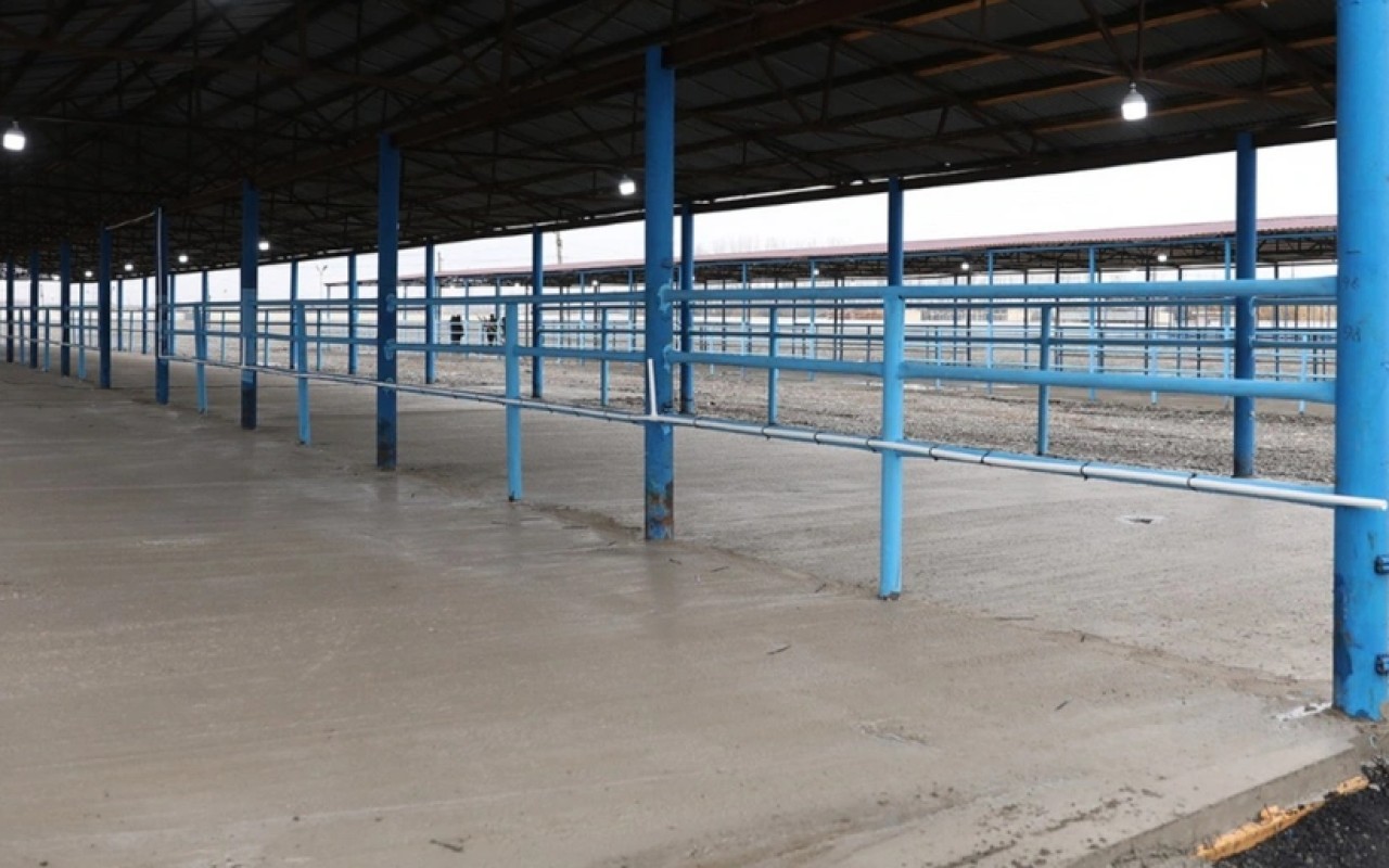 1765881784.Nk4I4D2N3mEW3uiFHCv0gMIKFhoyLZ3SR95buJbl_825