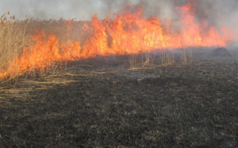 1766134287.acac066c-b6a8-4f4a-b56e-fb73f0f49b93_825