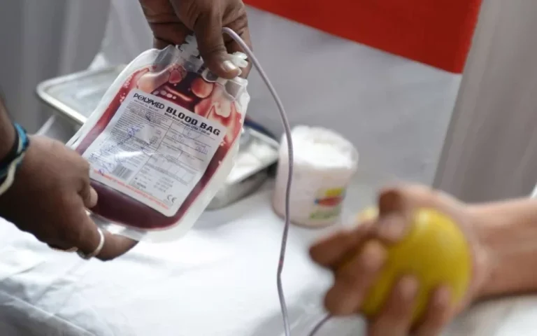 1766148120.image_940x_675158882c265