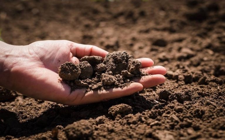 1766151192.1748846555.4d9edebec6e9d1d29df709b72428cfb6torpaq-jpg